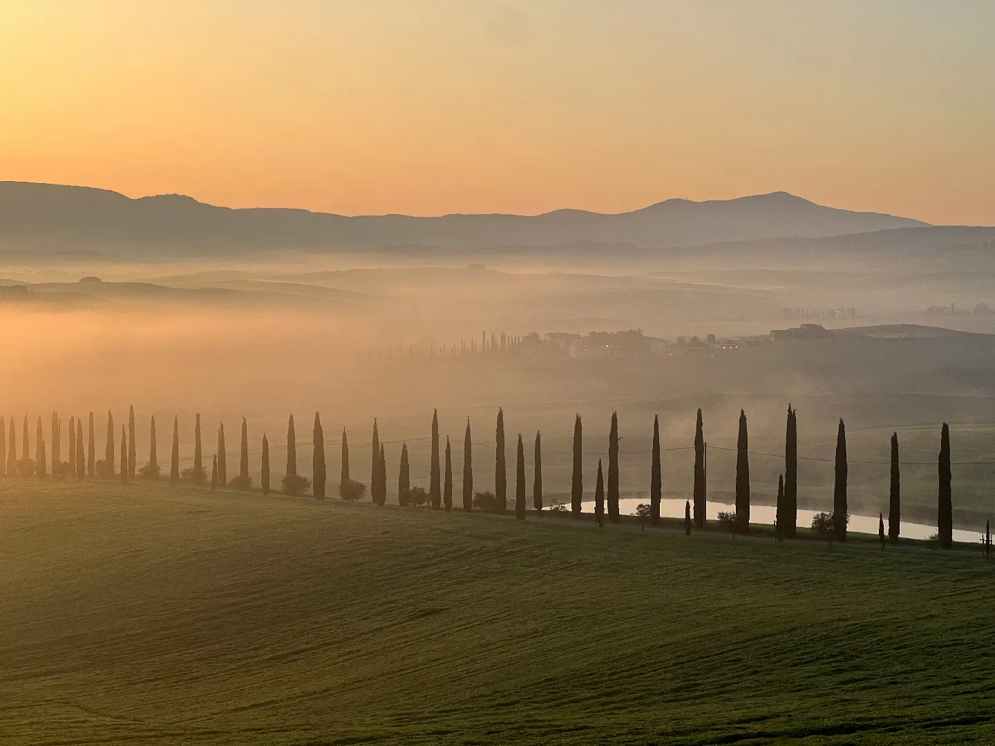 anna-motsonelidze-BawFH-5wr0g-unsplash (1)