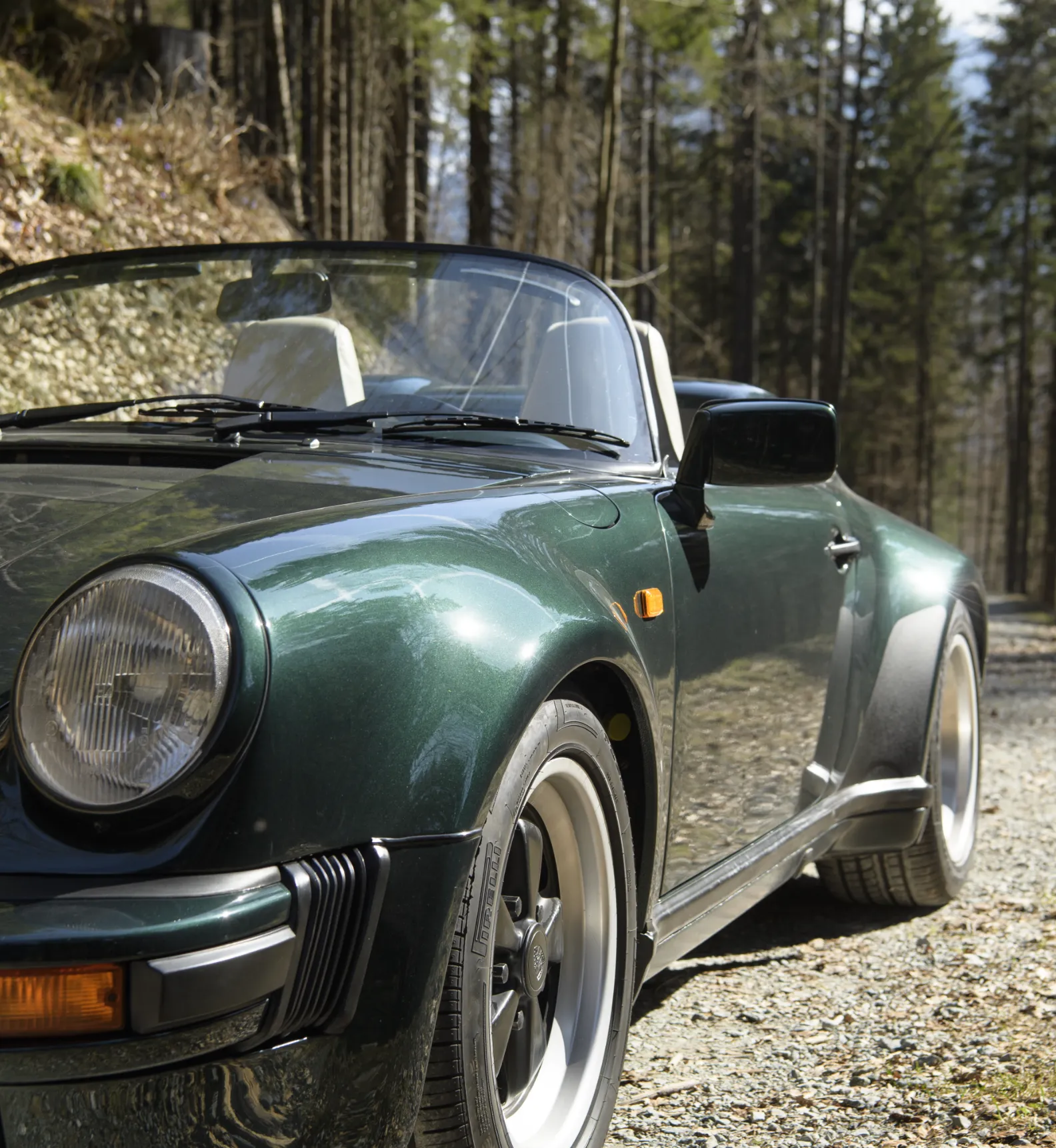 PorscheForest-v – 3