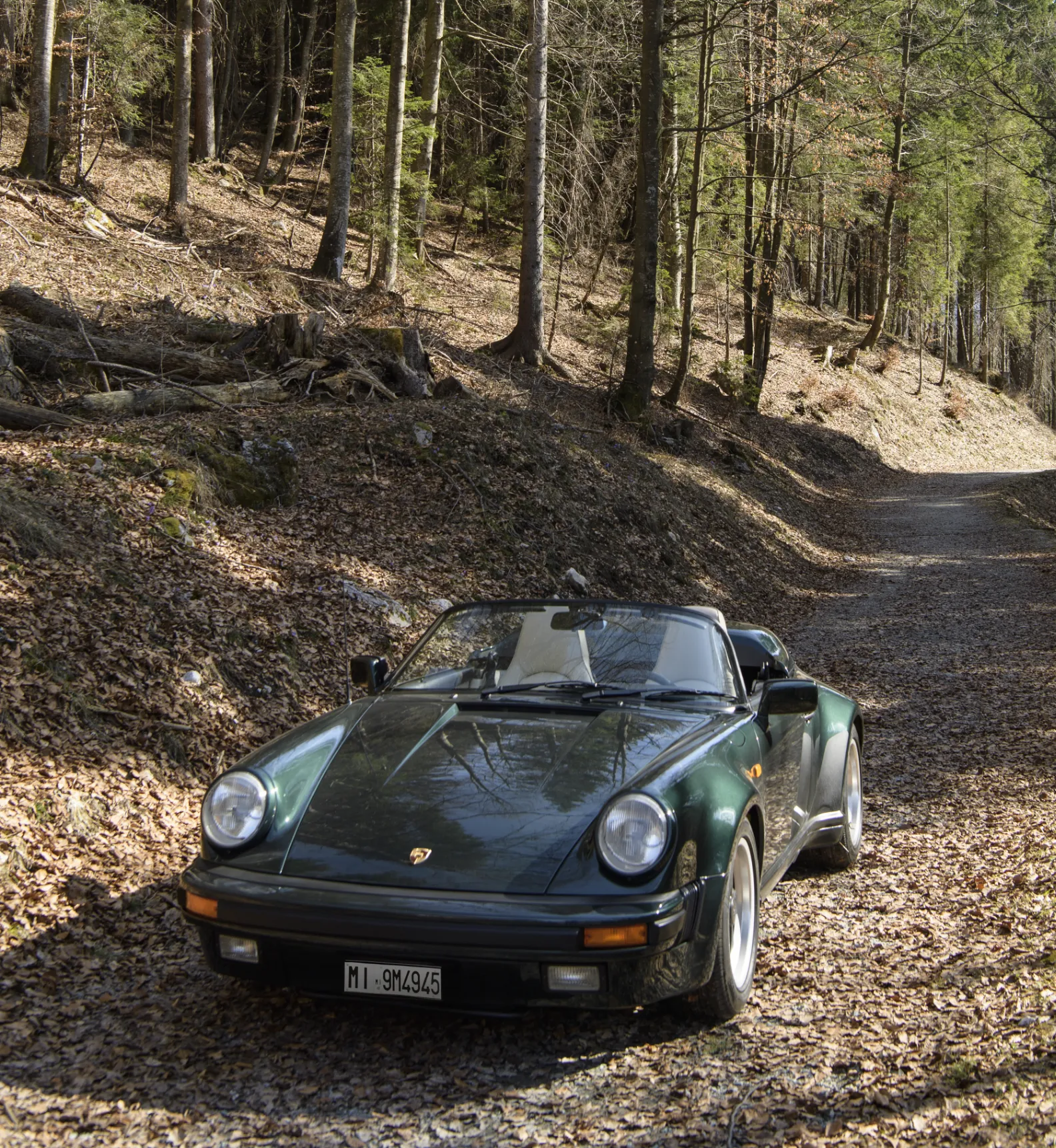 PorscheForest-v – 4