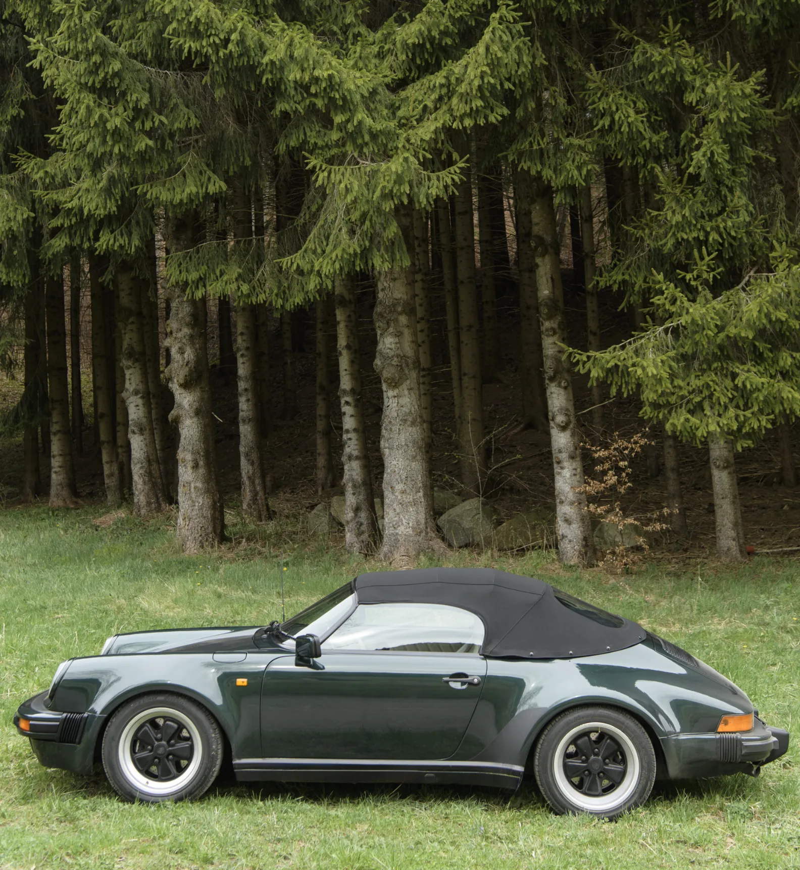 PorscheForest-v – 5