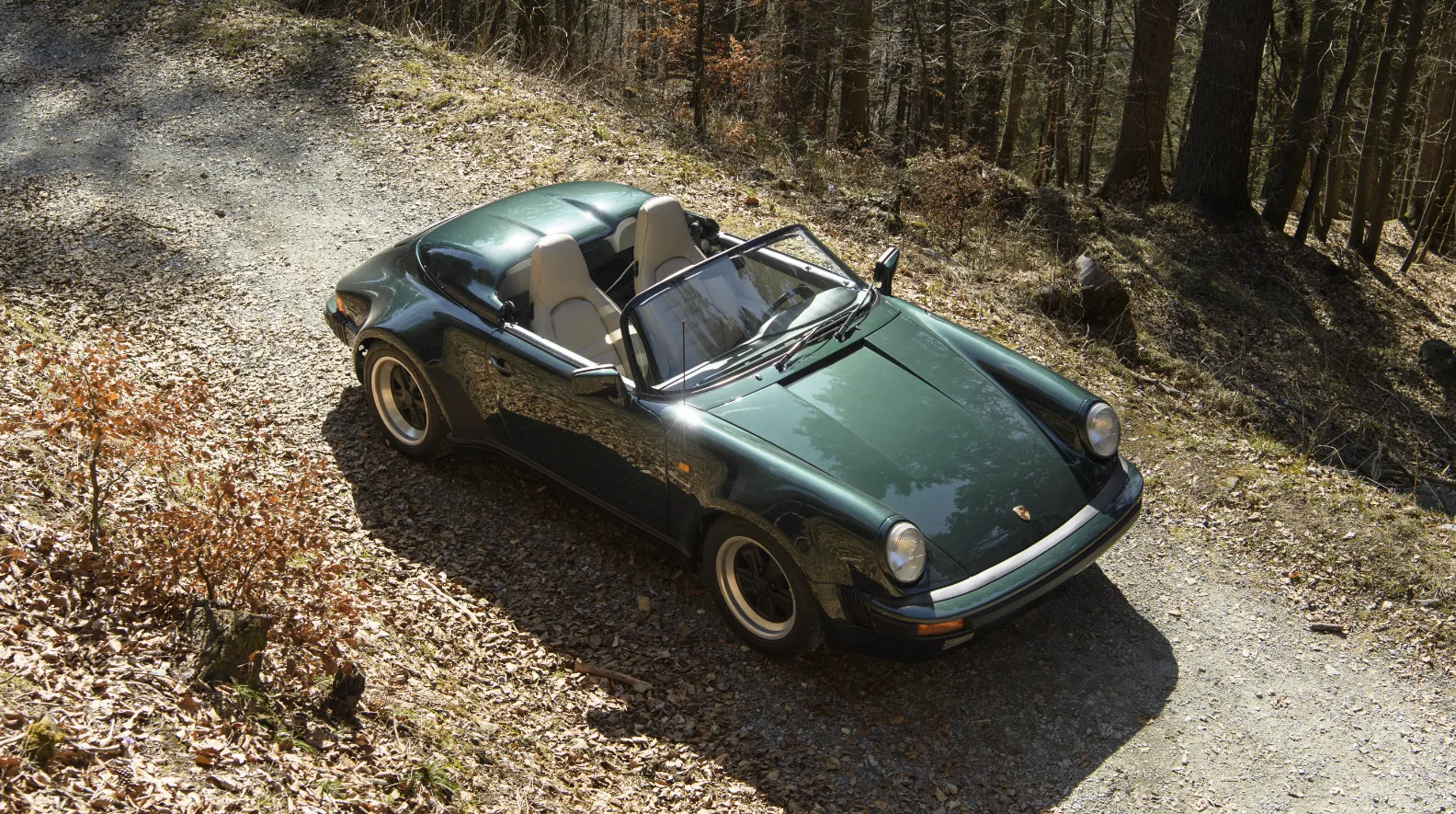 PorscheForest – 13